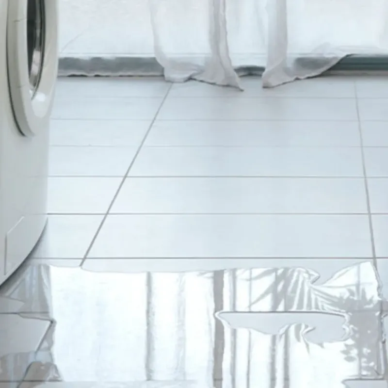 Appliance Leak Cleanup in Mount Hope, WV