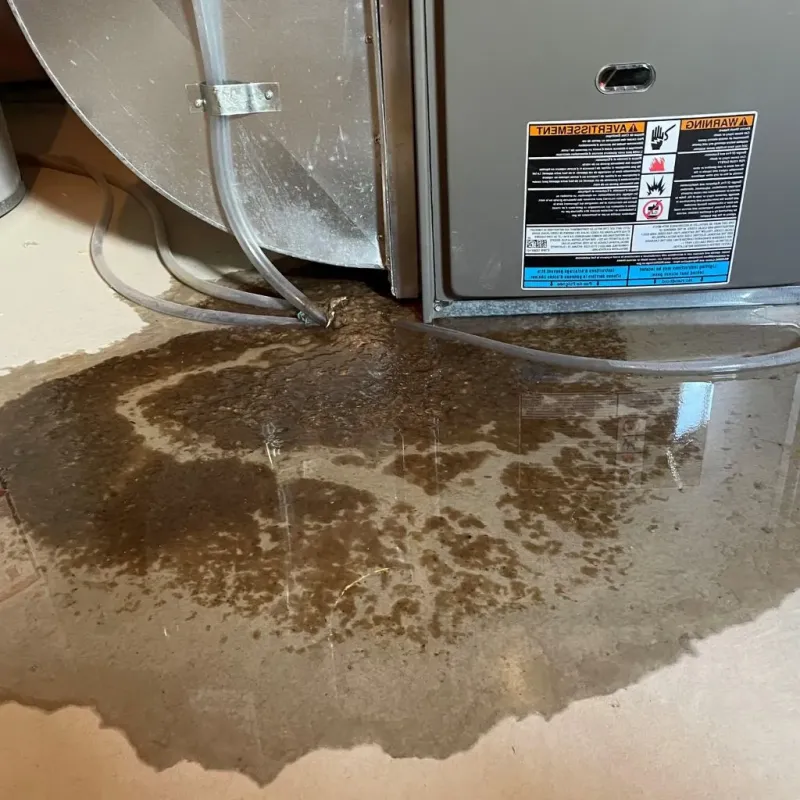 Pipe Burst and Leak Restoration in Mount Hope, WV