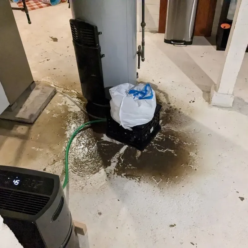 Sewage Backup Cleanup Service in Mount Hope, WV